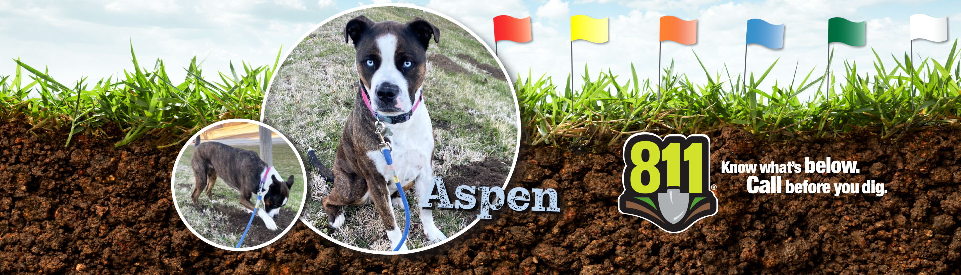 doggone it contest winner Aspen