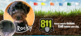 rocky, doggone it winner