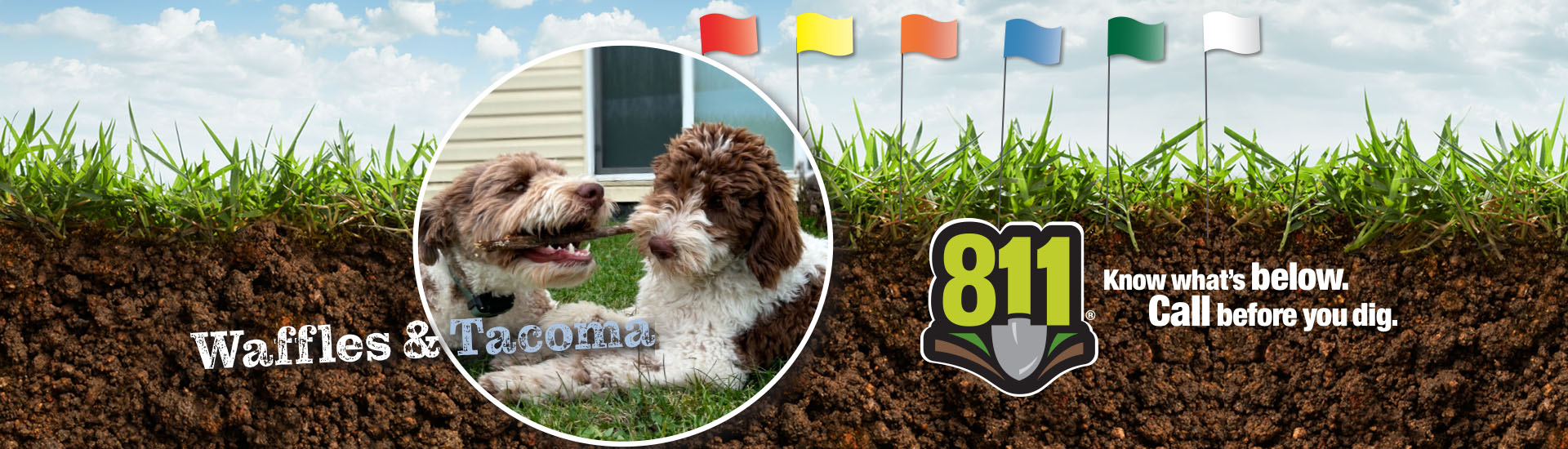 doggone it 2025 contest winners, Waffles and Tacoma